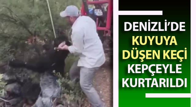 Kuyuya düşen keçi kepçeyle kurtarıldı