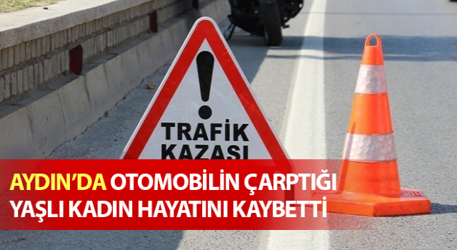 Otomobilin çarptığı yaşlı kadın hayatını kaybetti