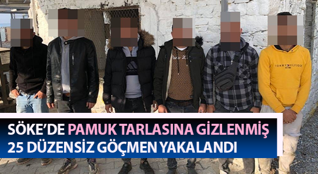 Pamuk tarlasına gizlenmiş 25 düzensiz göçmen yakalandı