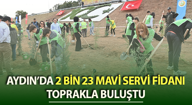 2 bin 23 mavi servi fidanı toprakla buluştu