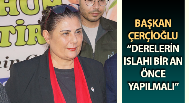 Başkan Çerçioğlu: “Derelerin ıslahı bir an önce yapılmalı”