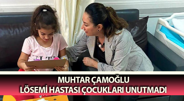 Çamoğlu, tedavi gören çocuklara moral vererek oyuncak dağıttı