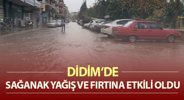 Fırtınadan sentetik sahanın direkleri devrildi