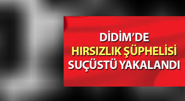 Hırsızlık şüphelisi suçüstü yakalandı