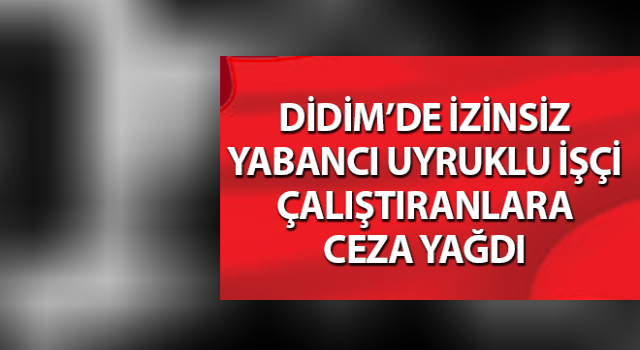 İzinsiz yabancı uyruklu işçi çalıştırmanın bedeli ağır oldu