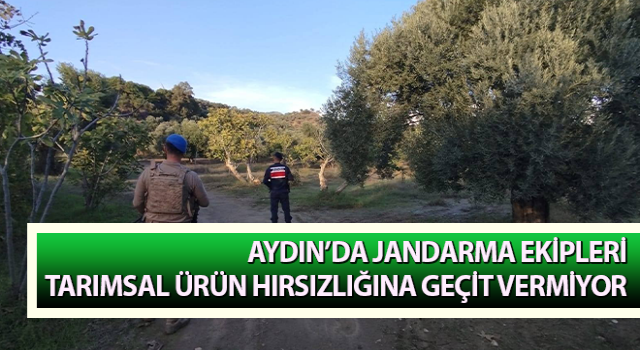 Jandarma tarımsal ürün hırsızlığına geçit vermiyor