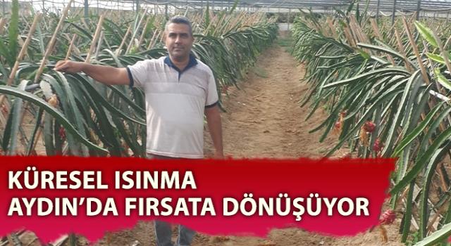 Kaymakam gitti projesi tüm ile yayılmaya başladı