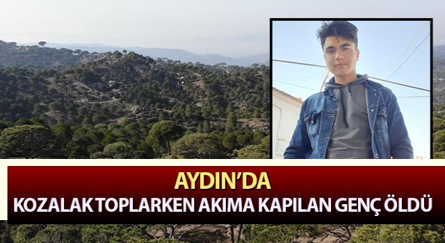 Kozalak toplarken akıma kapılan genç öldü