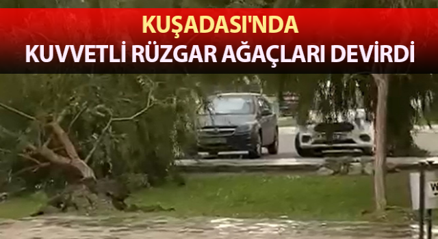 Kuşadası'nda kuvvetli rüzgar etkili oldu