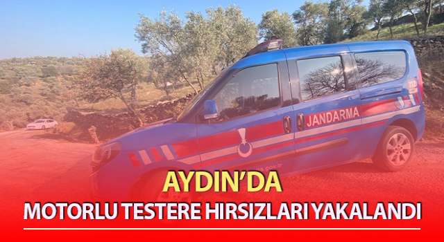 Motorlu testere hırsızları yakalandı