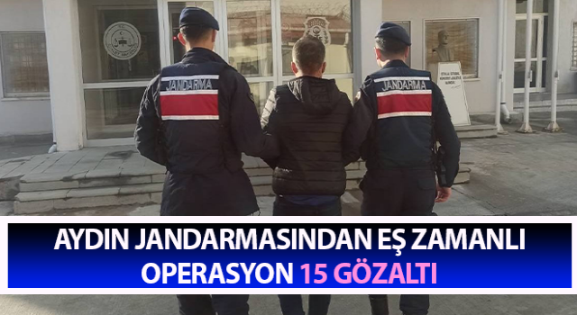 Aydın jandarmasından eş zamanlı operasyon: 15 gözaltı