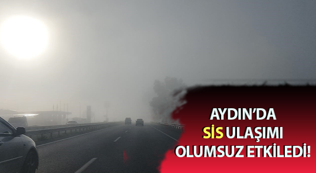 Aydın’da ulaşıma sis engeli