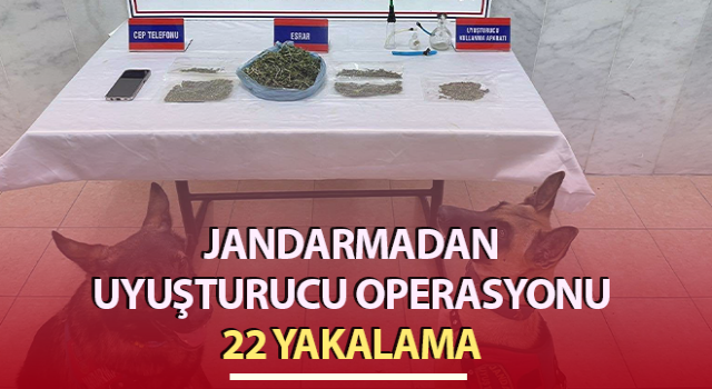 Aydın’da uyuşturucu operasyonu