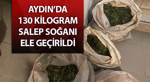 Germencik’te 130 kilogram salep soğanı ele geçirildi