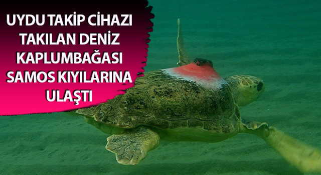 ‘Güzel İzmir’ 4 günde 18 mil yol aldı, ilk durağı Samos oldu