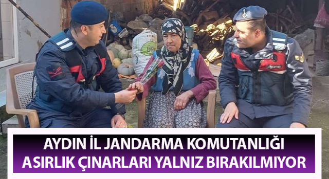 Jandarma ekipleri asırlık çınarları yalnız bırakılmıyor