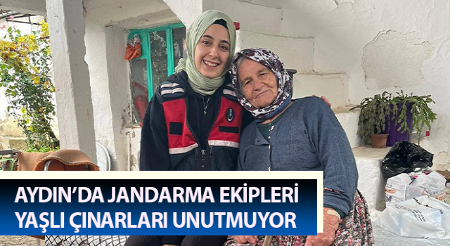 Jandarma yaşlı çınarları unutmuyor