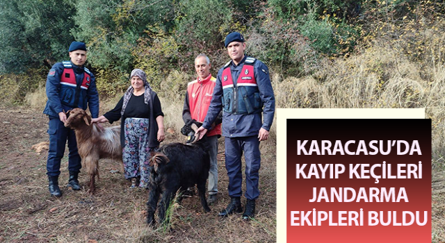 Kayıp keçileri jandarma ekipleri buldu