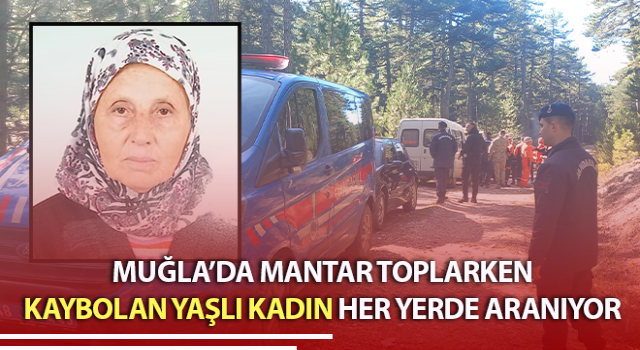 Mantar toplarken kaybolan yaşlı kadın her yerde aranıyor