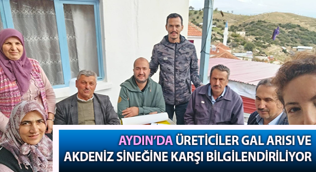 Üreticiler gal arısı ve Akdeniz sineğine karşı bilgilendiriliyor