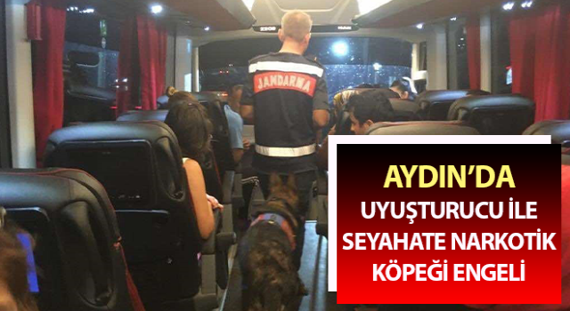 Uyuşturucu ile seyahate narkotik köpeği engeli