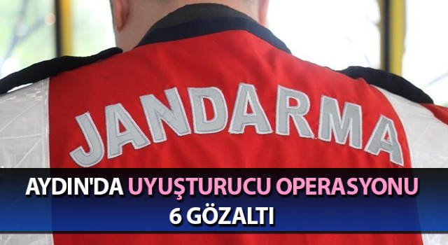 Aydın'da uyuşturucu operasyonu