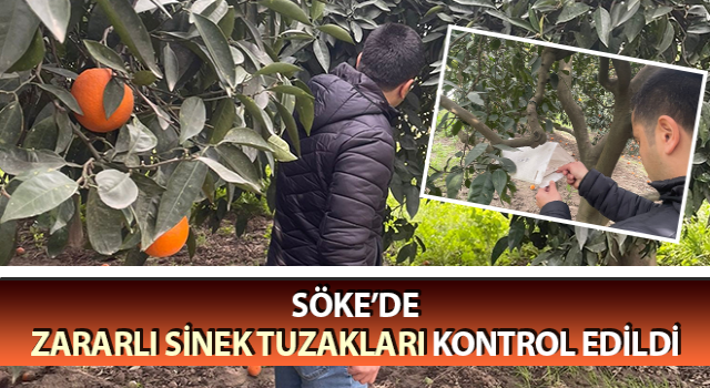 Aydın’da zararlı sinek tuzakları kontrol edildi