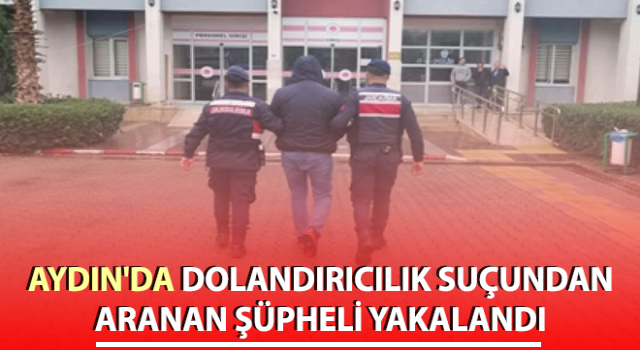 Dolandırıcılık suçundan aranan şahıs jandarmadan kaçamadı