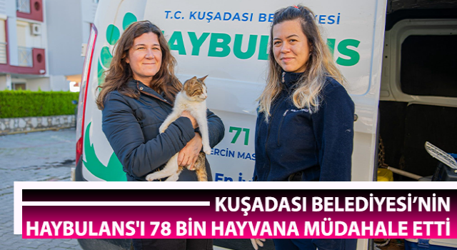 Haybulans 78 bin hayvana müdahale etti