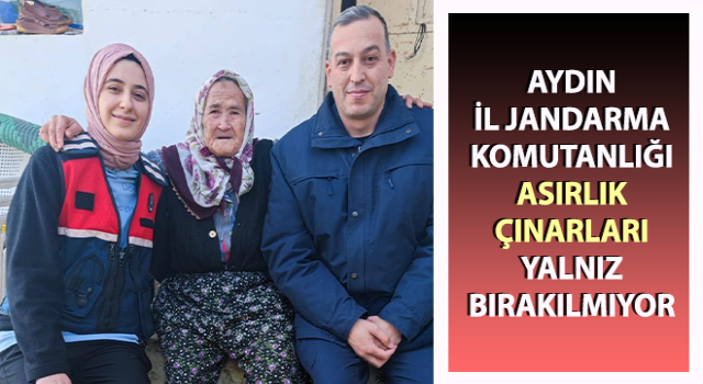 Jandarma ekipleri asırlık çınarları yalnız bırakılmıyor