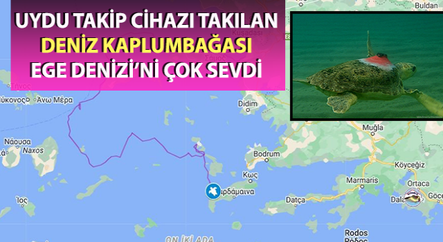 Kuşadası'ndan yola çıktı, Yunan adalarını dolaşıyor