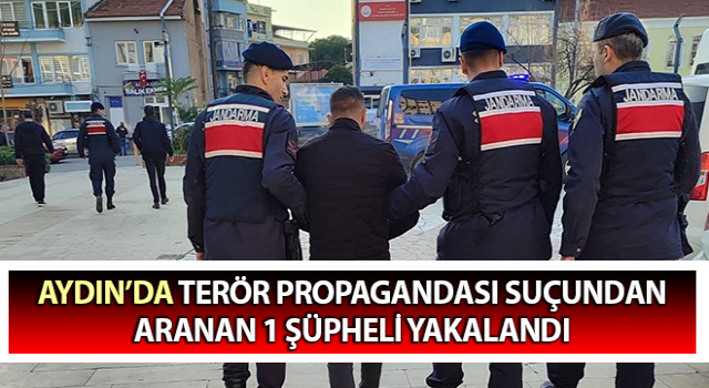 Terör propagandası suçundan aranan 1 şüpheli yakalandı