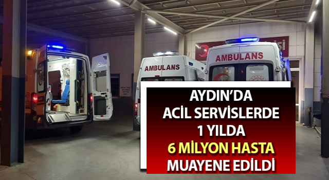 Acil servislerde 1 yılda 6 milyon hasta muayene edildi