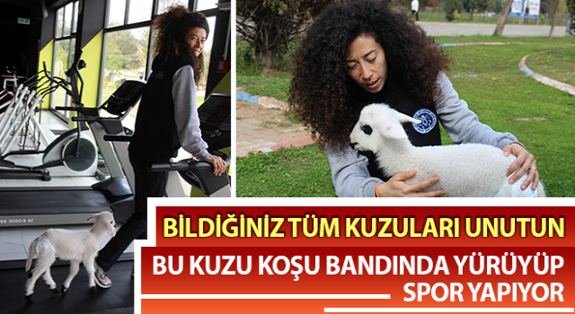 Aydın'da beden eğitimi öğretmeni kuzusuyla spor yapıyor