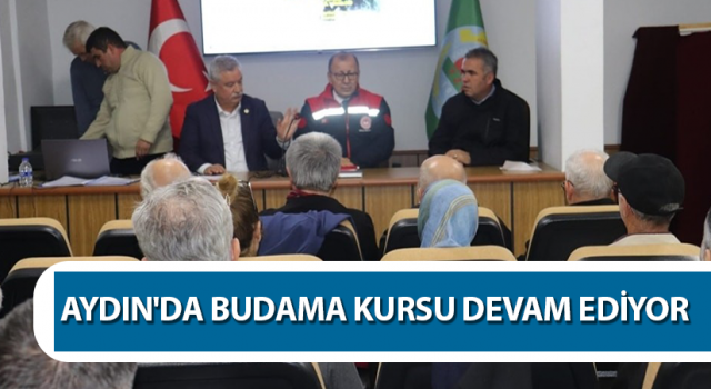 Aydın'da budama kursu sürüyor