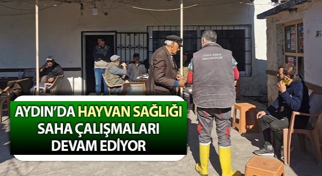 Aydın’da hayvan sağlığı saha çalışmaları sürüyor