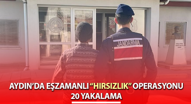 Aydın’da “hırsızlık” operasyonu