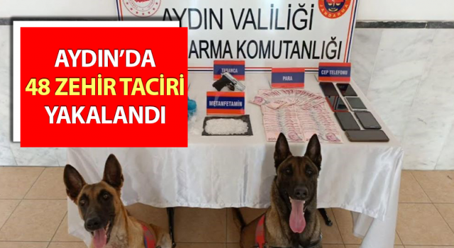 Aydın'da uyuşturucu operasyonu