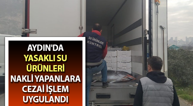 Aydın'da yasaklı su ürünleri denetimi