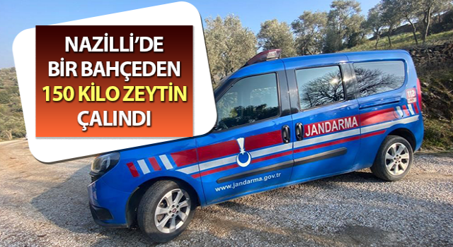 Aydın’da zeytin çalan 2 şüpheli yakalandı