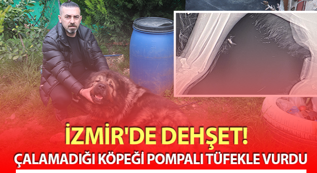 Çalamadığı köpeği pompalı tüfekle vurdu