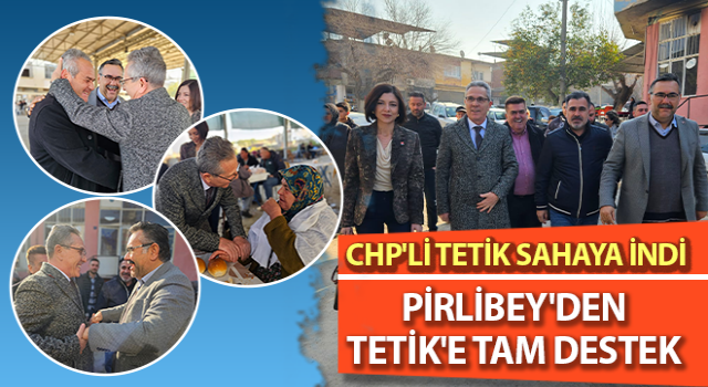 CHP'li Tetik sahaya indi