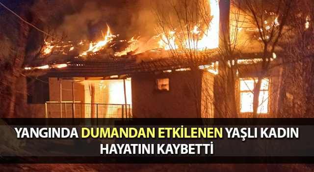 Denizli'de Yangına giden itfaiye aracı yoğun siste devrildi