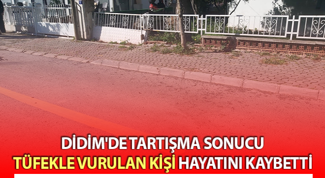 Didim’de cinayet: 1 ölü