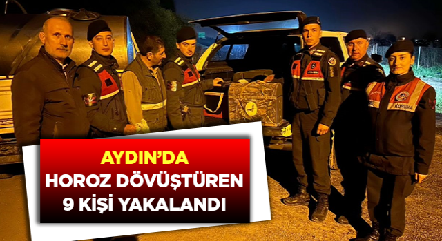 Efeler’de horoz dövüştüren 9 kişi yakalandı