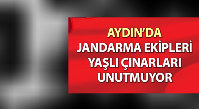 Jandarma yaşlı çınarları unutmuyor