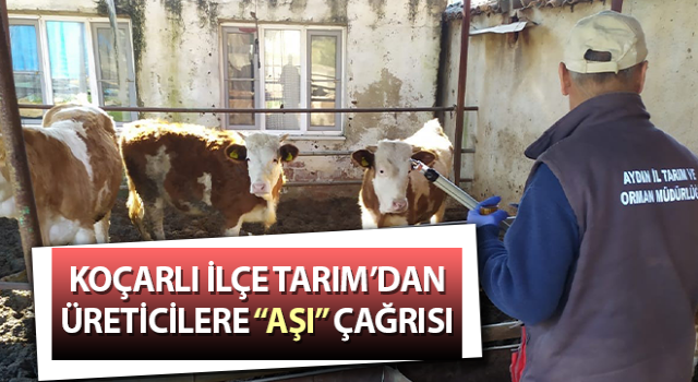 Koçarlı İlçe Tarım’dan üreticilere “aşı” çağrısı