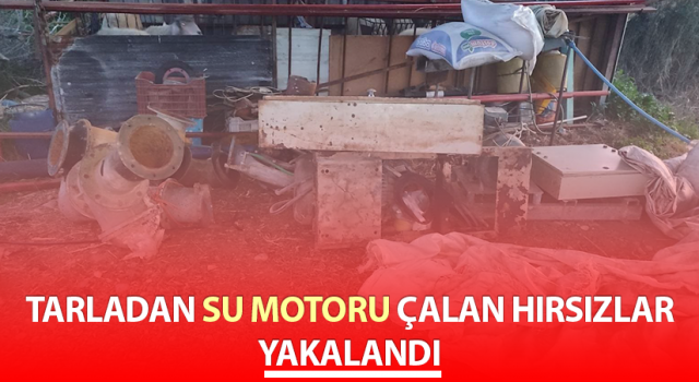 Nazilli'de hırsızlık şüphelileri yakalandı