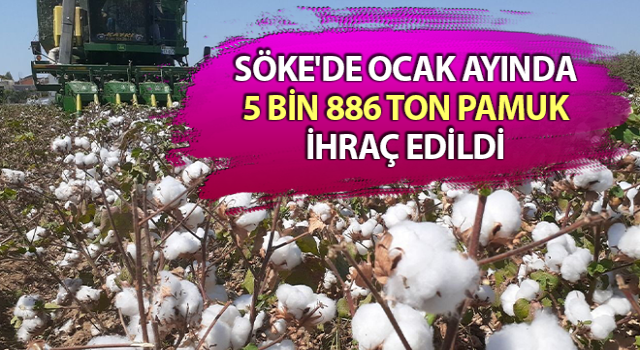 Söke’de 1 ayda 5 bin ton pamuk ihraç edildi