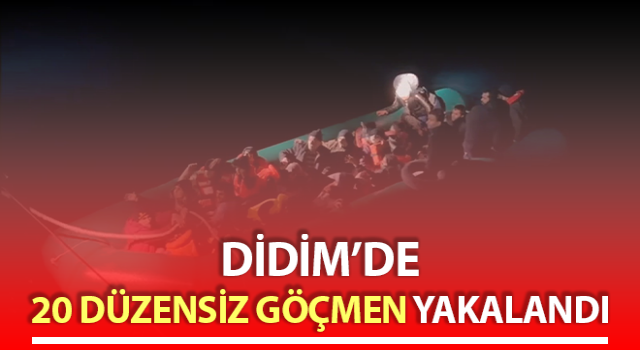 Aydın’da 20 düzensiz göçmen yakalandı